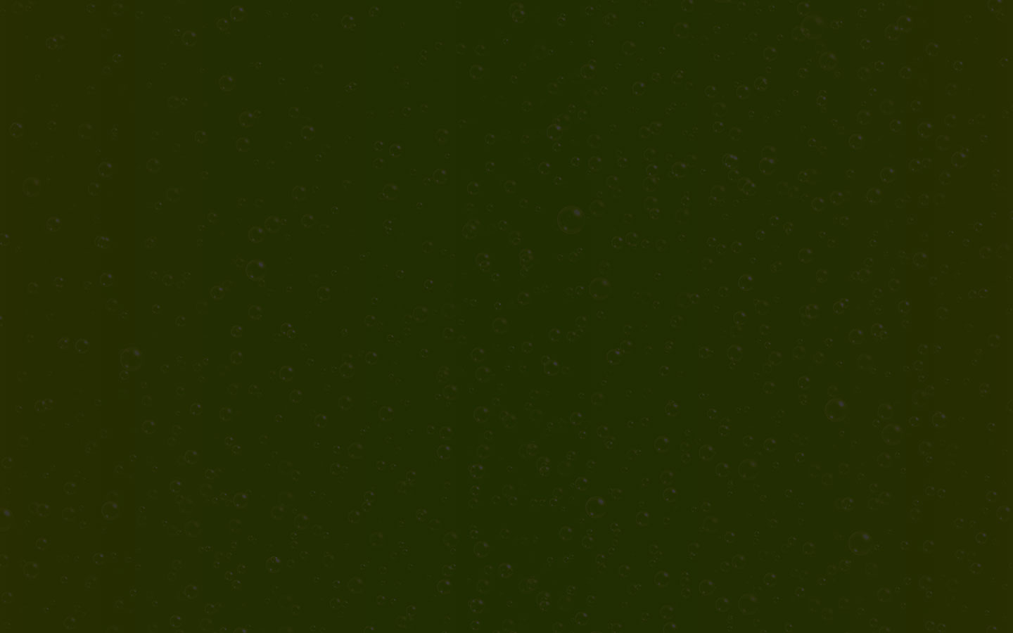 beer-collection-40-lines