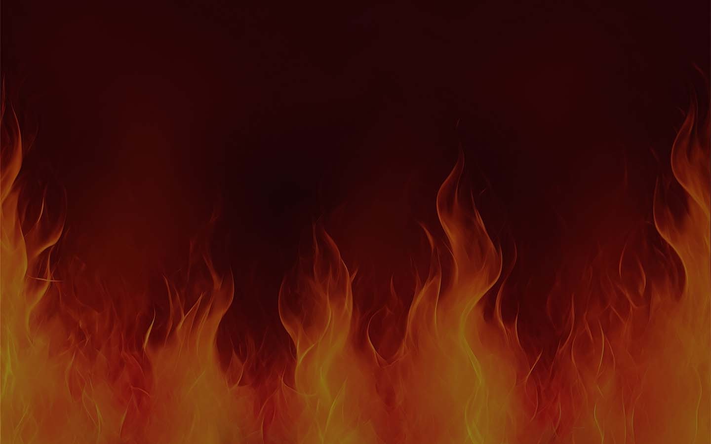 mega-wild-fruits-and-chillies