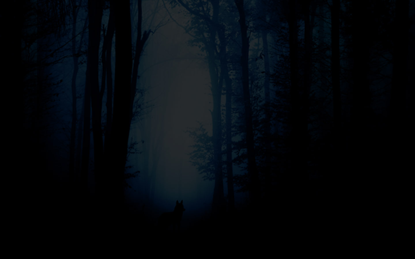 wolf-fang-winter-storm