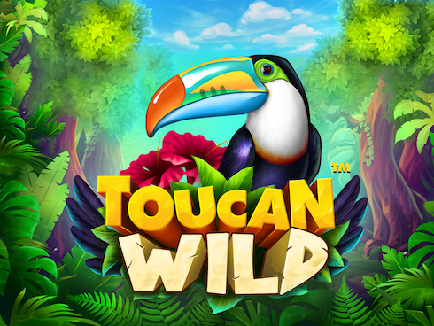 Toucan Wild