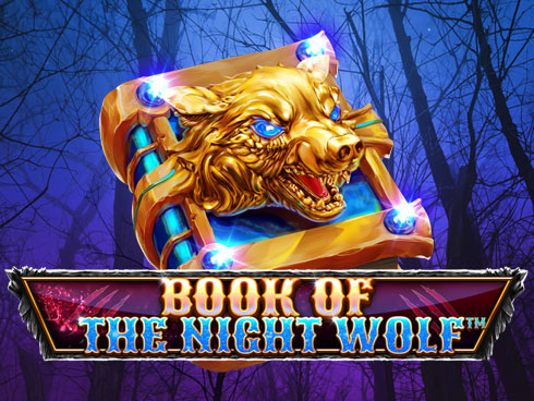 Book Of The Night Wolf