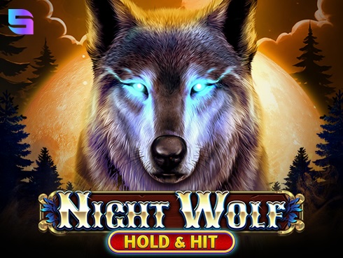 Night Wolf - Hold and Hit 