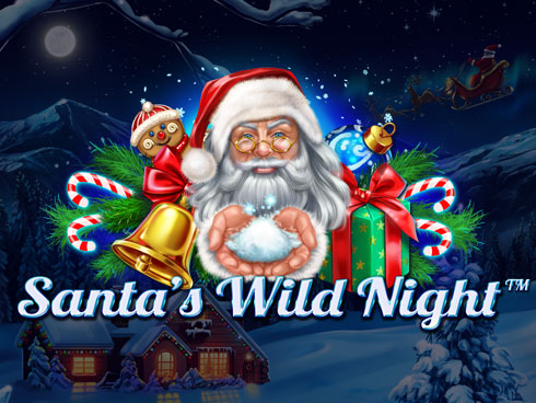 Santa's Wild Night