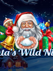 Santa's Wild Night