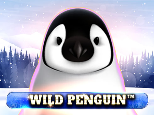 Wild Penguin