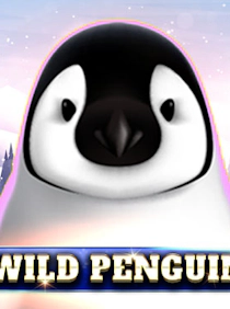Wild Penguin