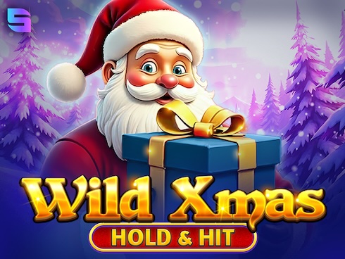 Wild Xmas -  Hold and Hit