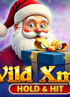 Wild Xmas - Hold and Hit