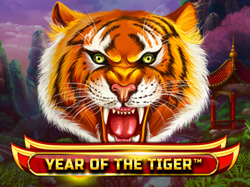Year Of The Tiger