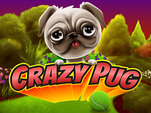 Crazy Pug