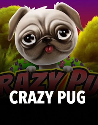 Crazy Pug