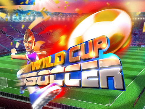 WILD Cup Soccer