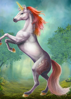 Unicorn Reels Burning Board